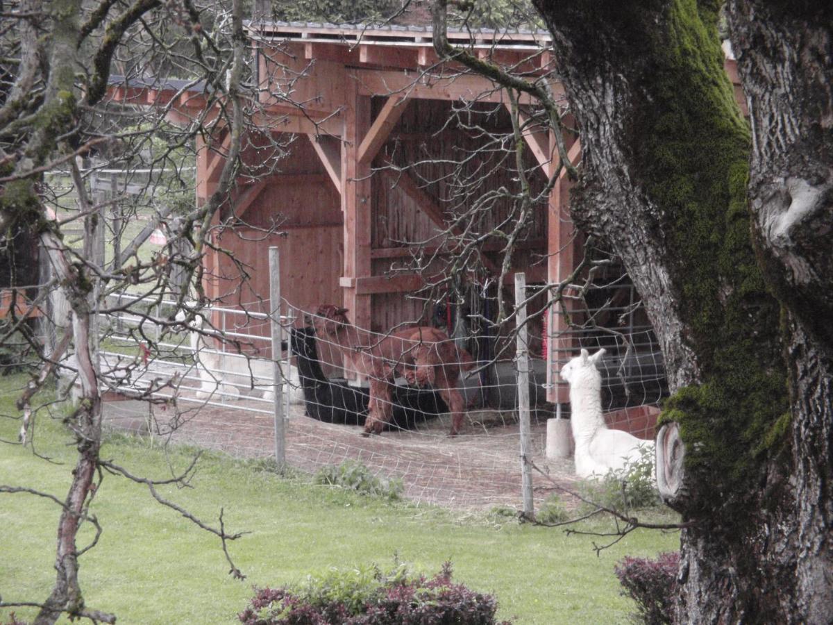 Pension Alpenhaus Vorderstoder 外观 照片