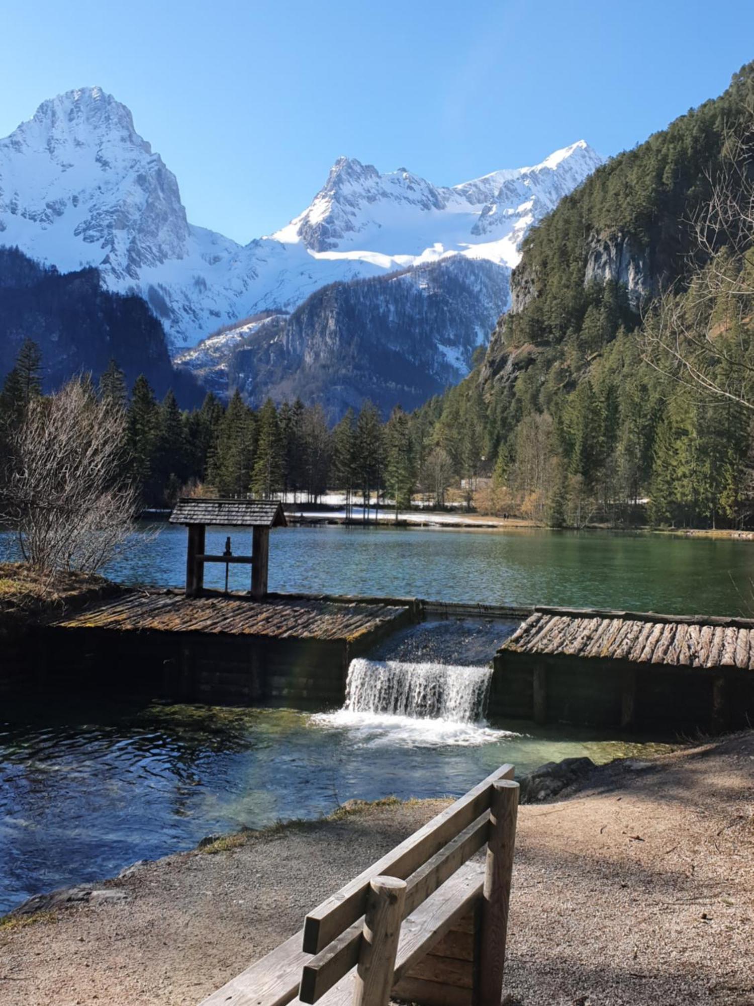 Pension Alpenhaus Vorderstoder 外观 照片