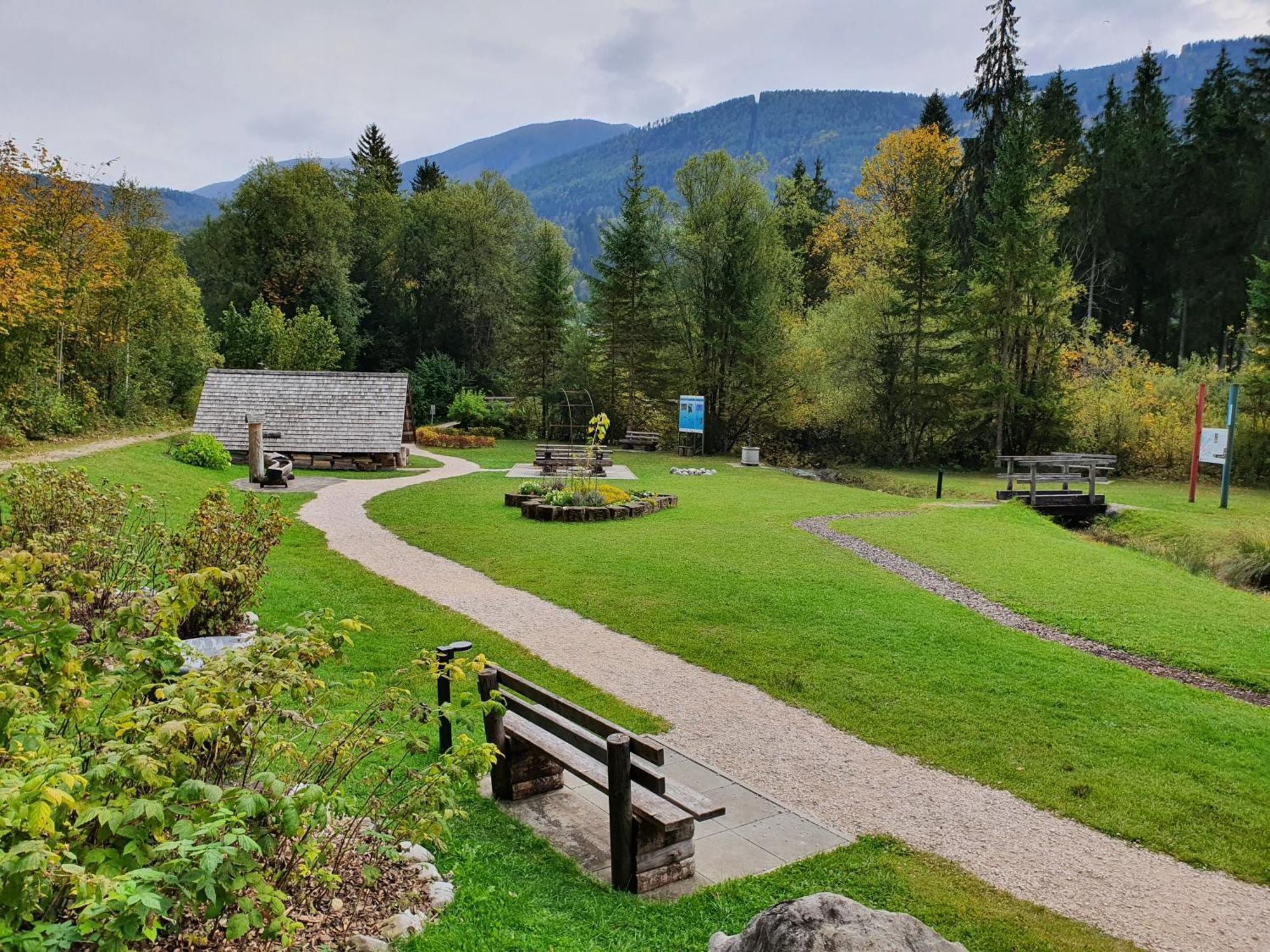 Pension Alpenhaus Vorderstoder 外观 照片
