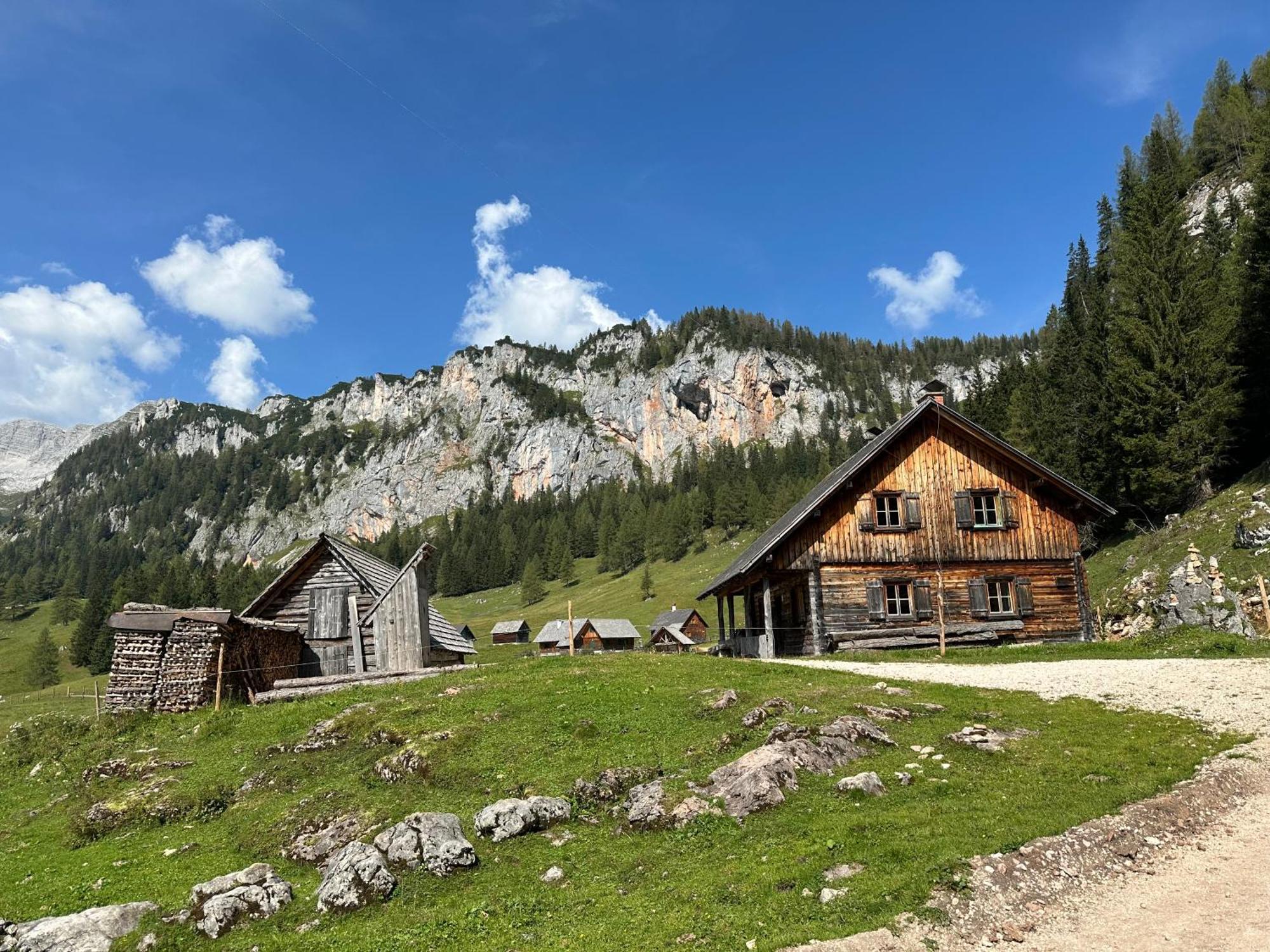 Pension Alpenhaus Vorderstoder 外观 照片