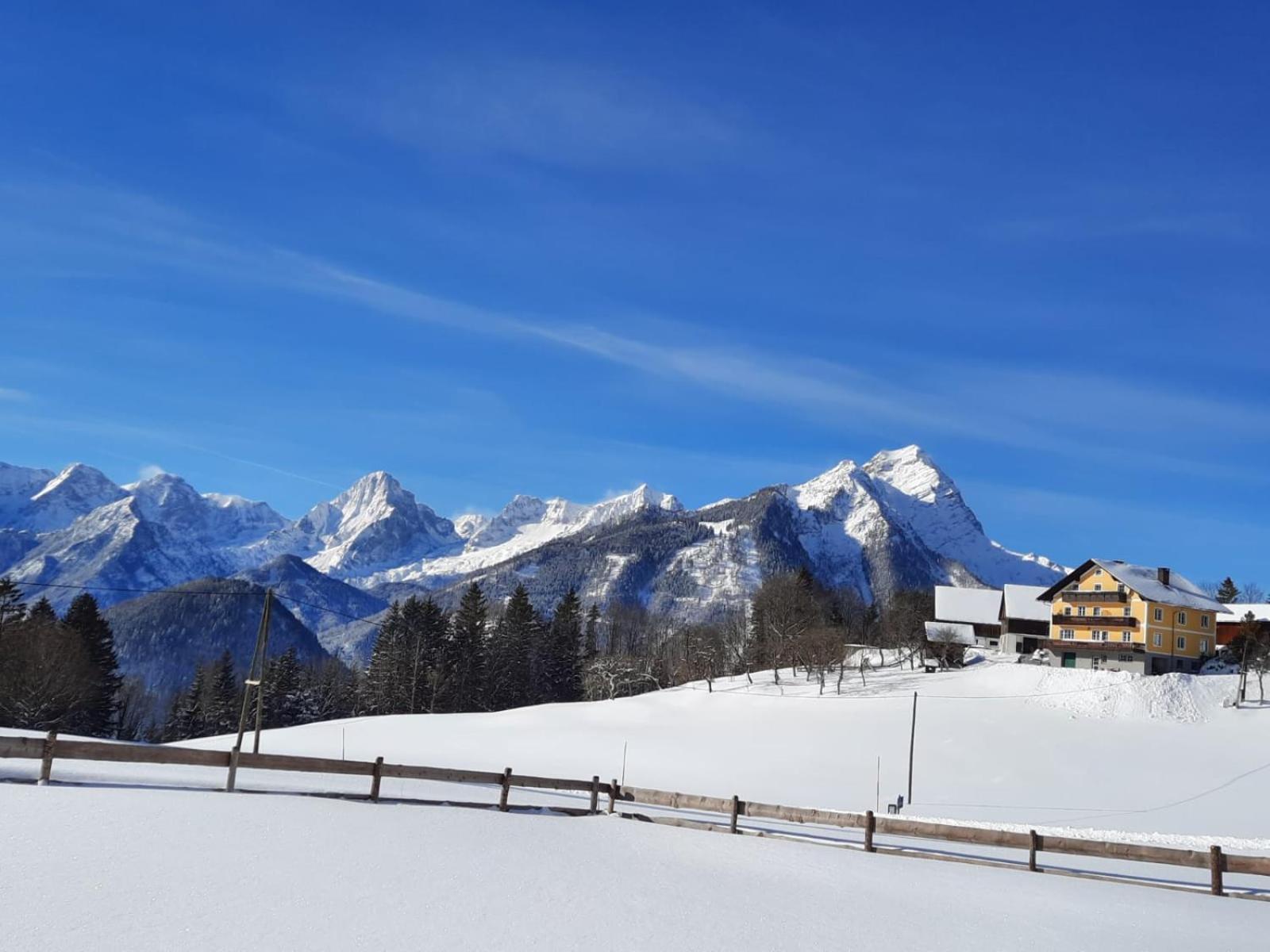 Pension Alpenhaus Vorderstoder 外观 照片