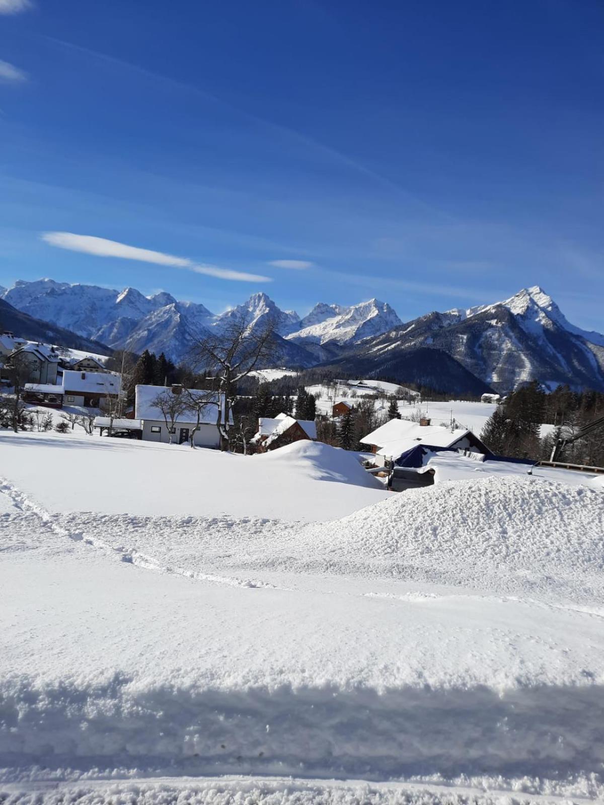 Pension Alpenhaus Vorderstoder 外观 照片