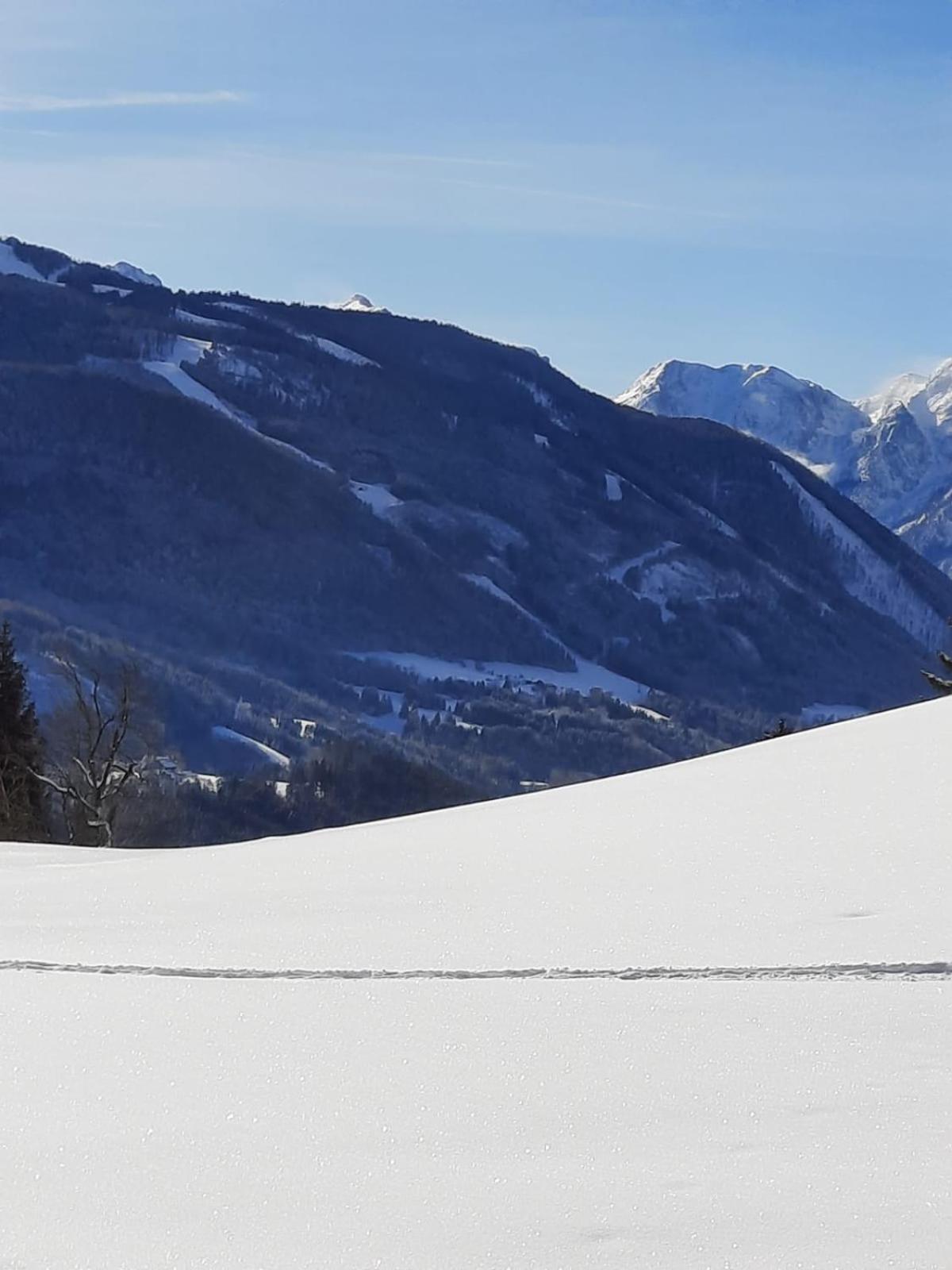 Pension Alpenhaus Vorderstoder 外观 照片
