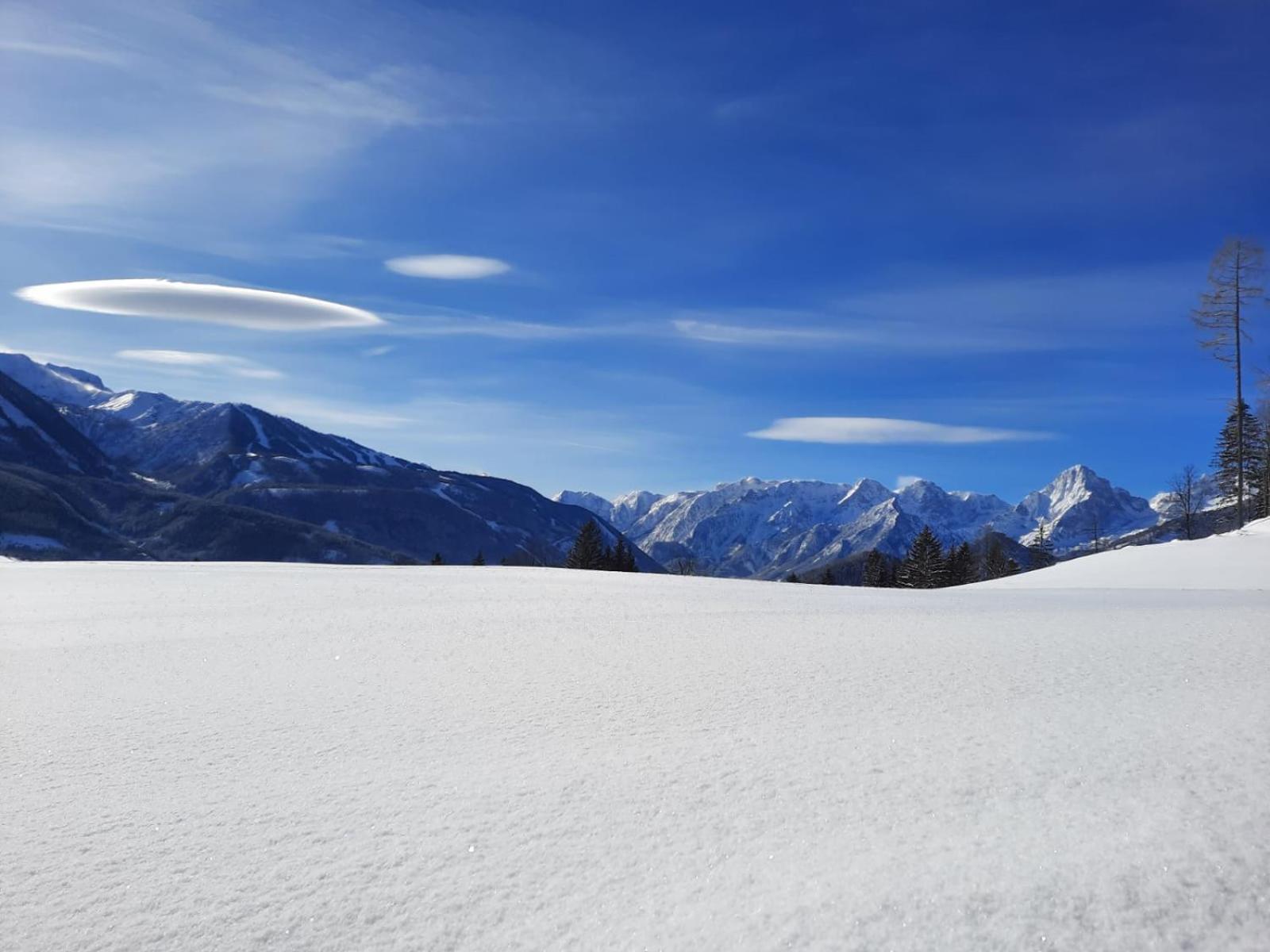 Pension Alpenhaus Vorderstoder 外观 照片