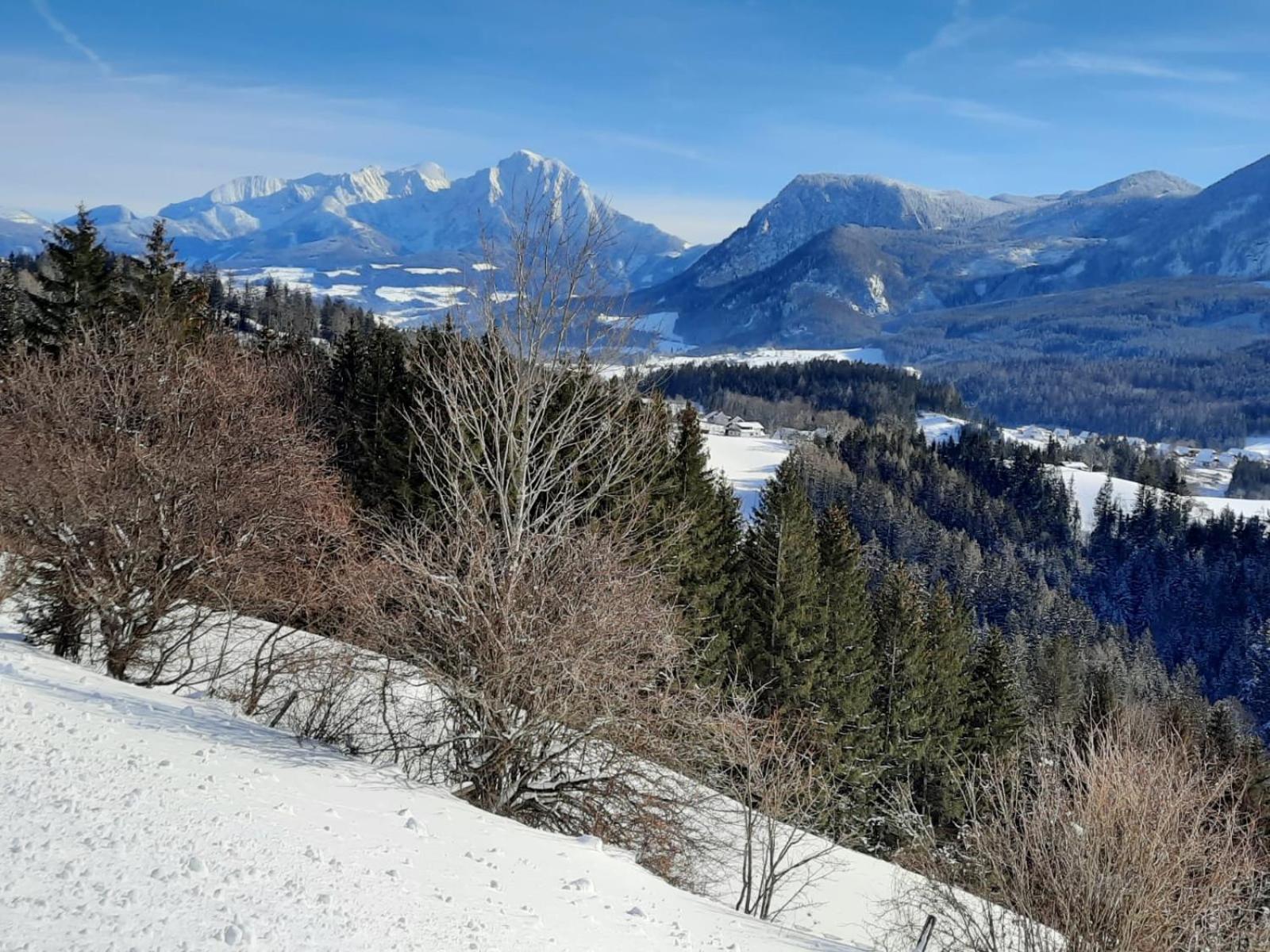 Pension Alpenhaus Vorderstoder 外观 照片